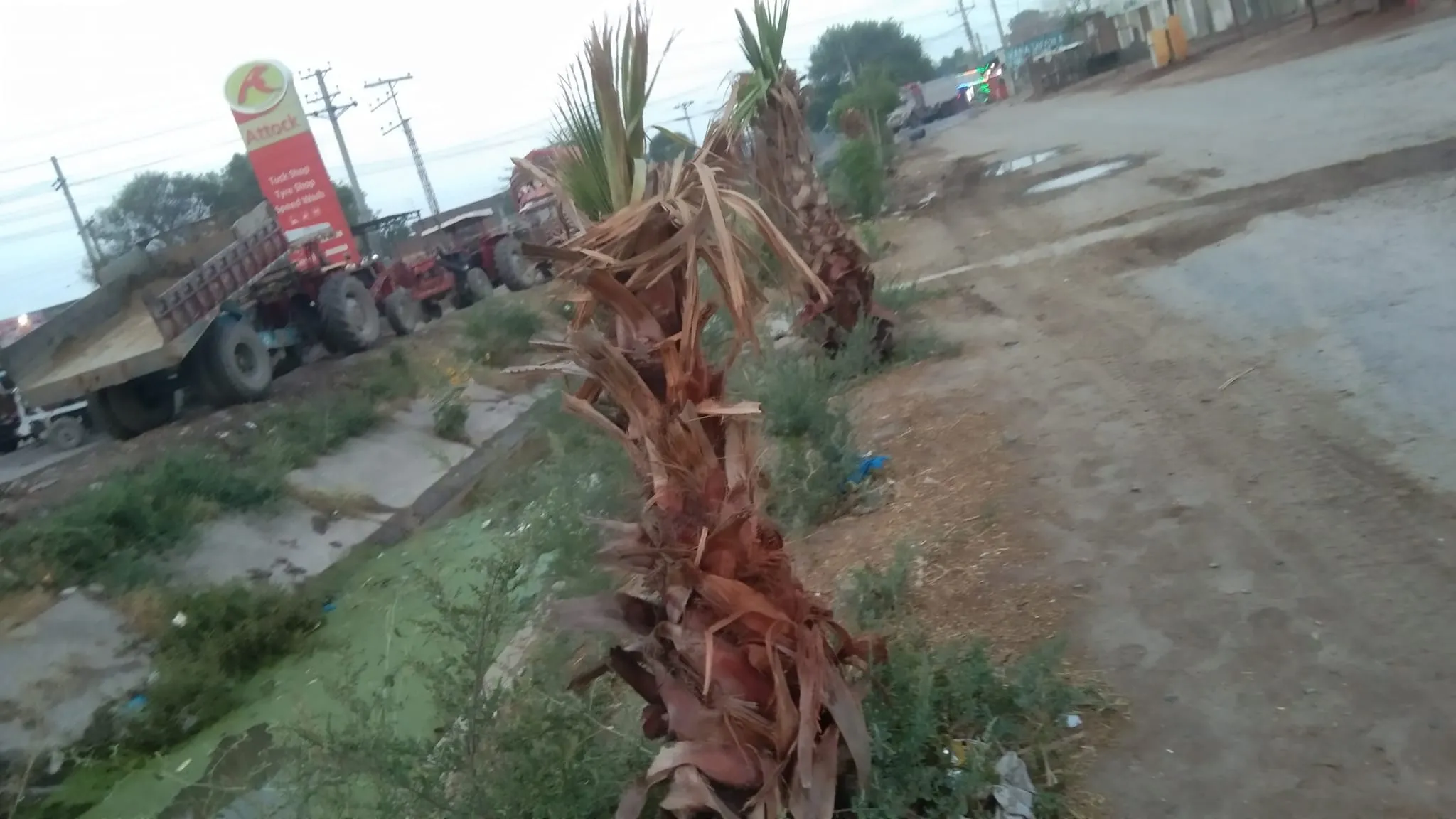 Green Seekers Activity